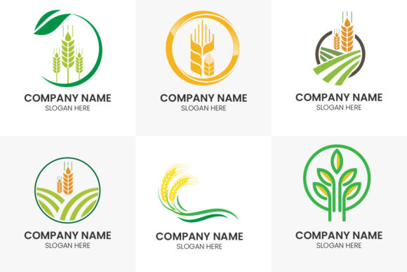 Set of Wheat Agriculture Logo Design: A Complete Branding Toolkit