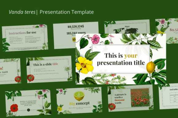 Understanding Vanda Teres: A Complete Design Toolkit